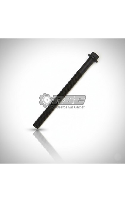 TORNILLO CULATA LOMBARDINI DCI 1010400