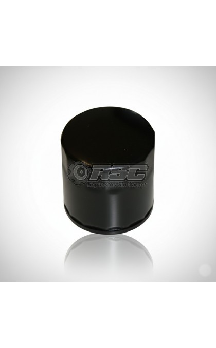 FILTRO ACEITE MOTOR