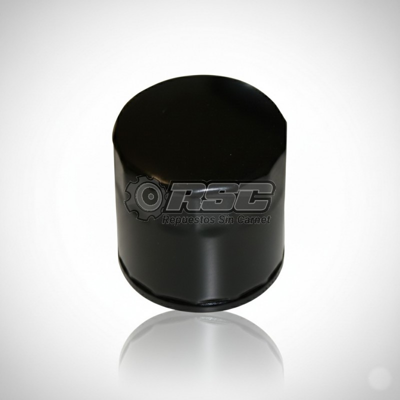 FILTRO ACEITE MOTOR