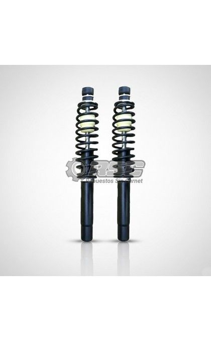 AMORTIGUADORES DELANTEROS LIGIER 0200077