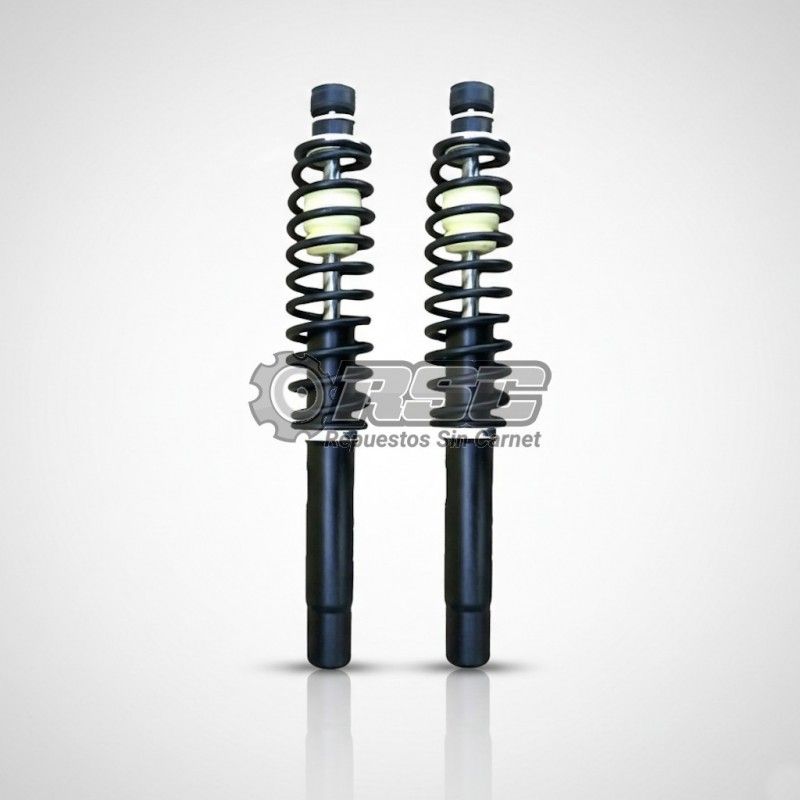 AMORTIGUADORES DELANTEROS LIGIER 0200077