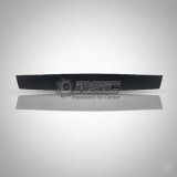 MOLDURA PORTON TRASERO 1006842