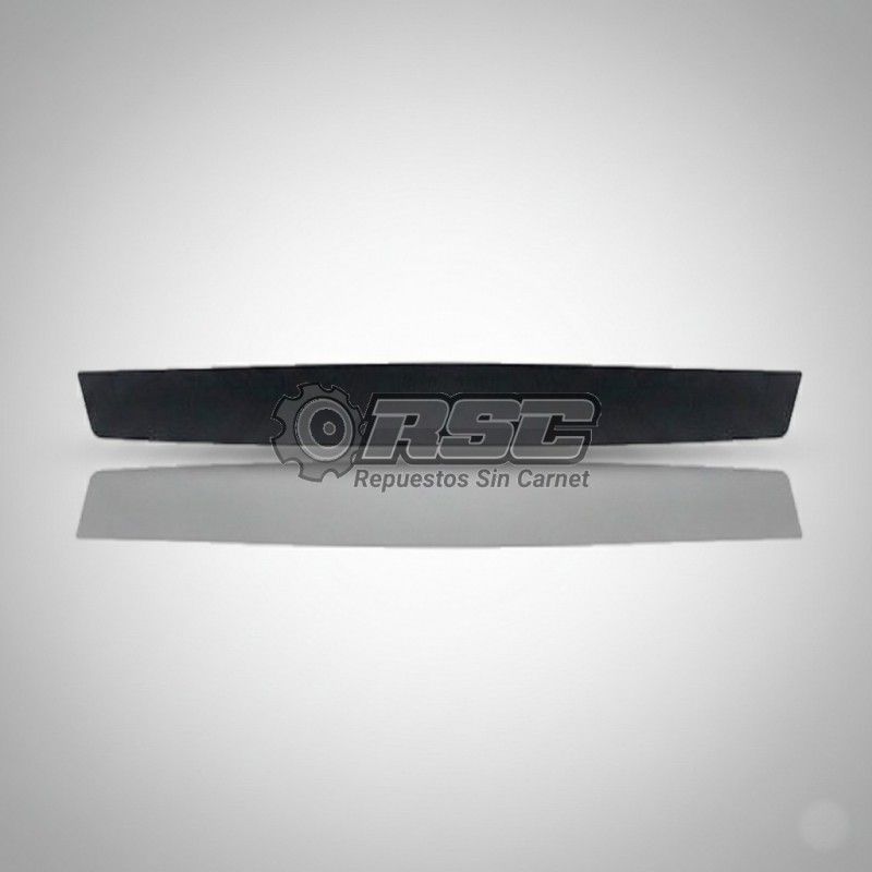 MOLDURA PORTON TRASERO 1006842