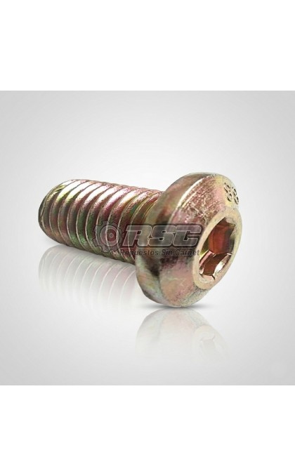 TORNILLO DISCO DE FRENO 1409813