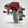 BUJE Y DISCO TRASERO LIGIER 1418453