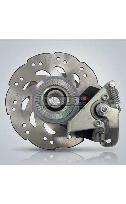 BUJE COMPLETO TRASERO SX CHATENET 0138027