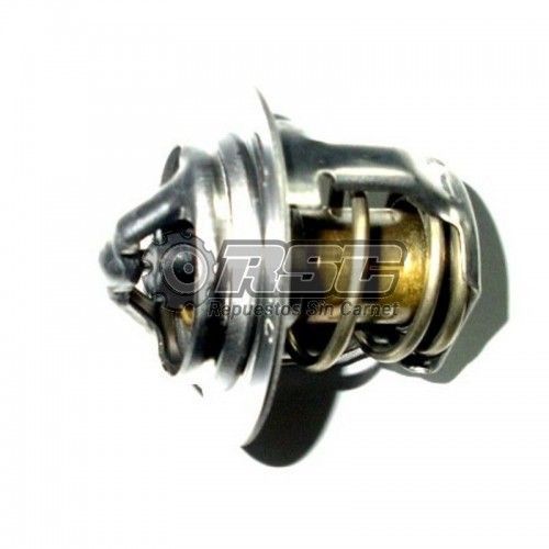 TERMOSTATO MOTOR 