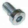 TORNILLO DISCO DE FRENO MÉTRICA 10
