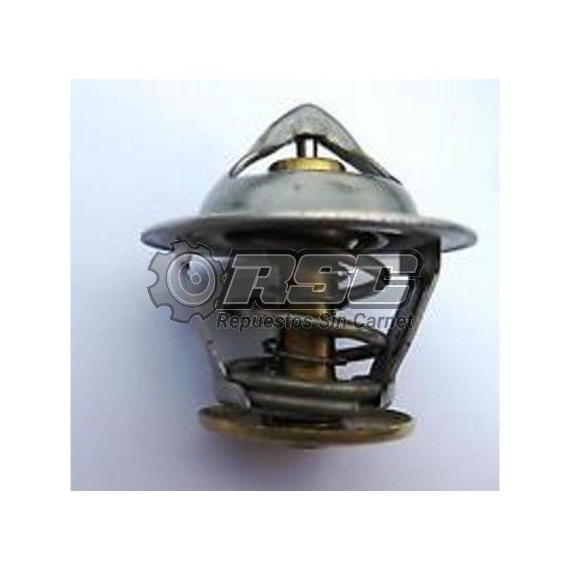 TERMOSTATO MOTOR 