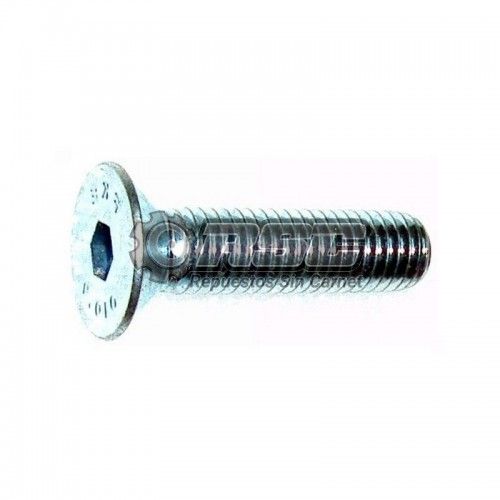 TORNILLO PARA SILENTBLOCK CAJA DE CAMBIO