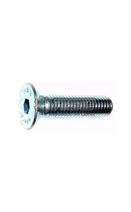 TORNILLO PARA SILENTBLOCK CAJA DE CAMBIO