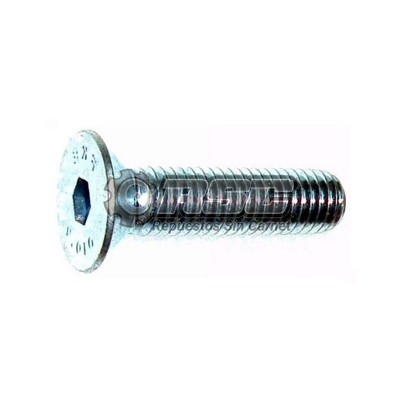 TORNILLO PARA SILENTBLOCK CAJA DE CAMBIO