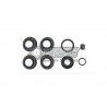 JUEGO DE REPARACION PINZA TRASERA MICROCAR 1003865