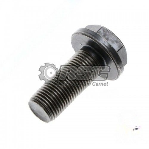 TORNILLO CIGUEÑAL MOTOR LOMBARDINI