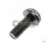TORNILLO CIGUEÑAL MOTOR LOMBARDINI